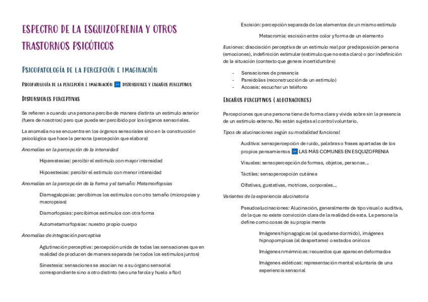 Miniatura del documento Tema-3-esquizofrenia-esquema.pdf