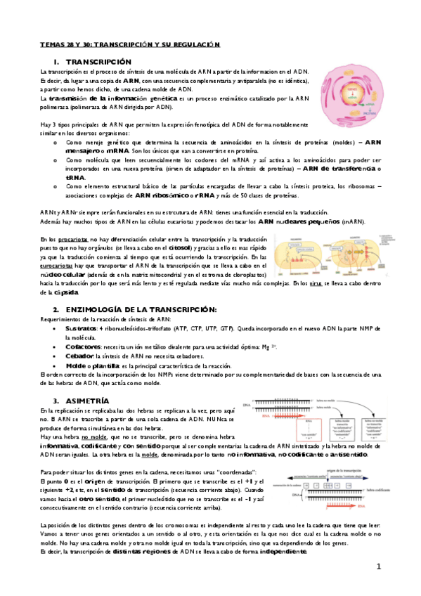 Miniatura del documento Tema 28 y 30.pdf