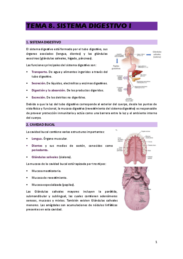 Miniatura del documento TEMA-8.pdf