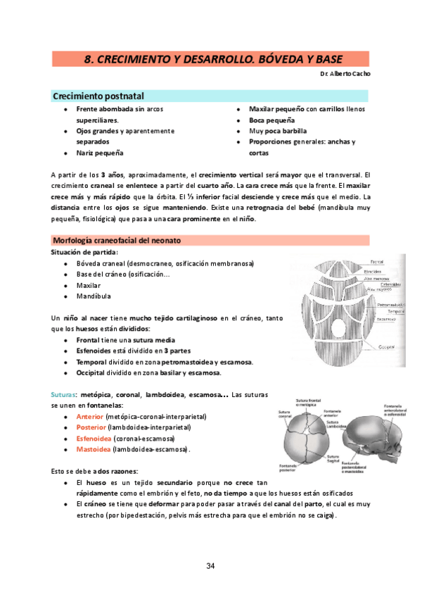 Miniatura del documento Ortodoncia-I-25-26.-Tema-8.pdf