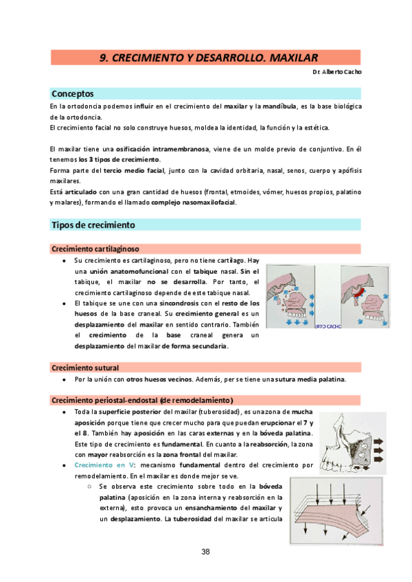 Miniatura del documento Ortodoncia-I-25-26.-Tema-9.pdf