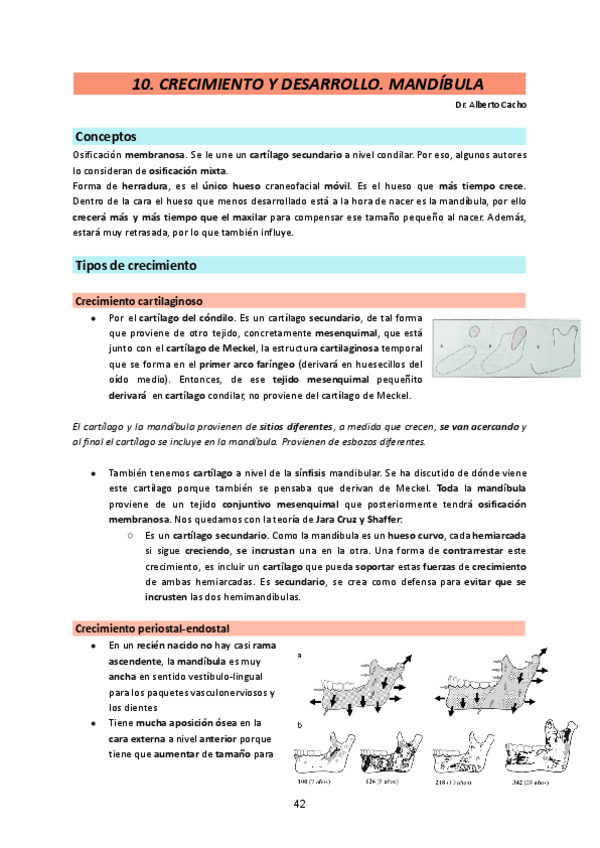Miniatura del documento Ortodoncia-I-25-26.-Tema-10.pdf