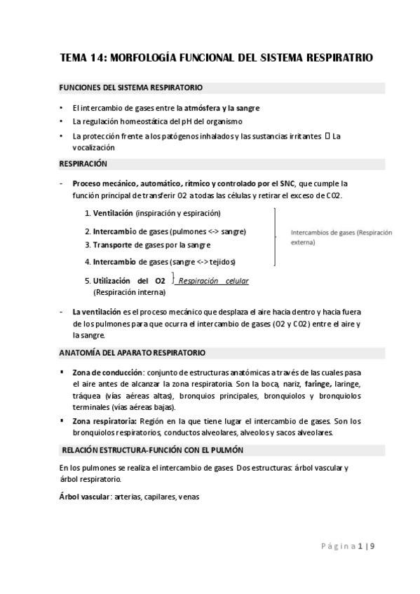 Miniatura del documento tema-14-fisolog.pdf
