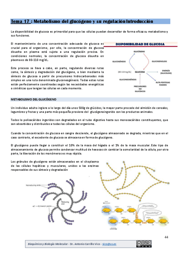 Miniatura del documento tema-17-bioq.pdf