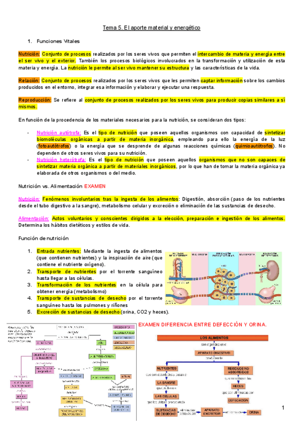 Miniatura del documento TEMA-5-CONOCIMIENTO-DEL-MEDIO.pdf