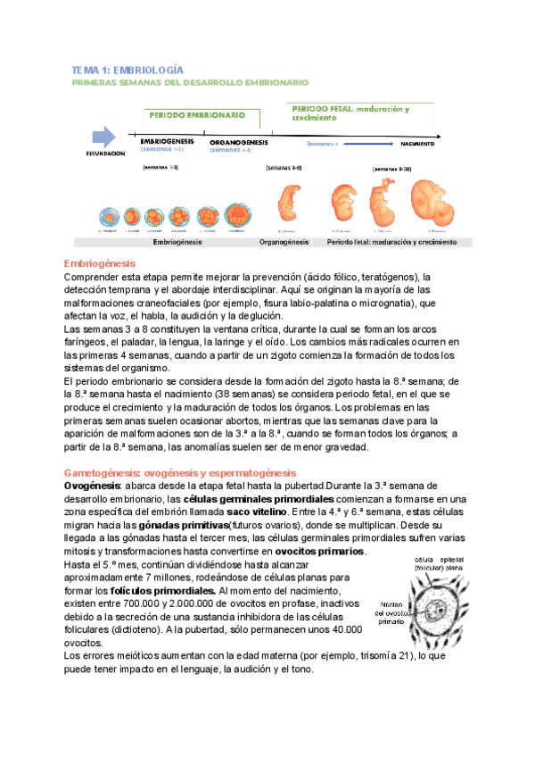 Miniatura del documento ANATOMIA-T.1-2-3-4-5.pdf