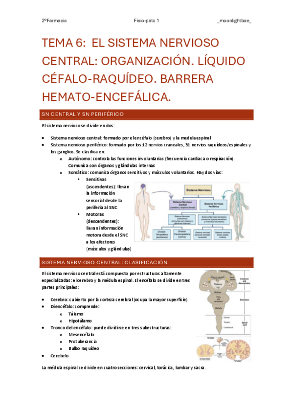 Miniatura del documento Tema-6-FF.pdf