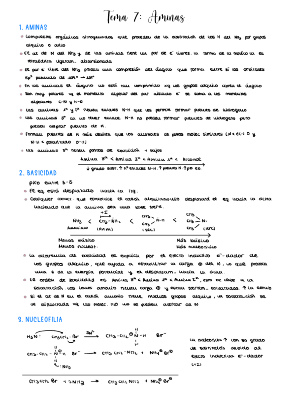Miniatura del documento TEMA-7-AMINAS.pdf