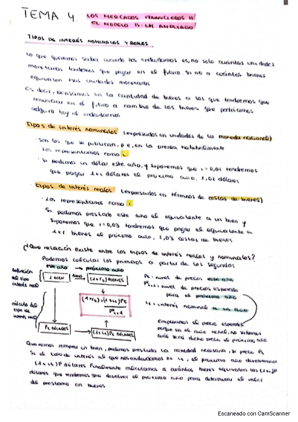 Miniatura del documento apuntes-t4-t6-macro.pdf