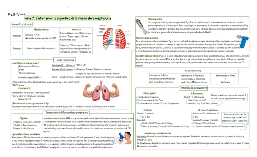 Miniatura del documento Tema-3-Entrenamiento-especifico-de-la-musculatura-respiratoria.pdf
