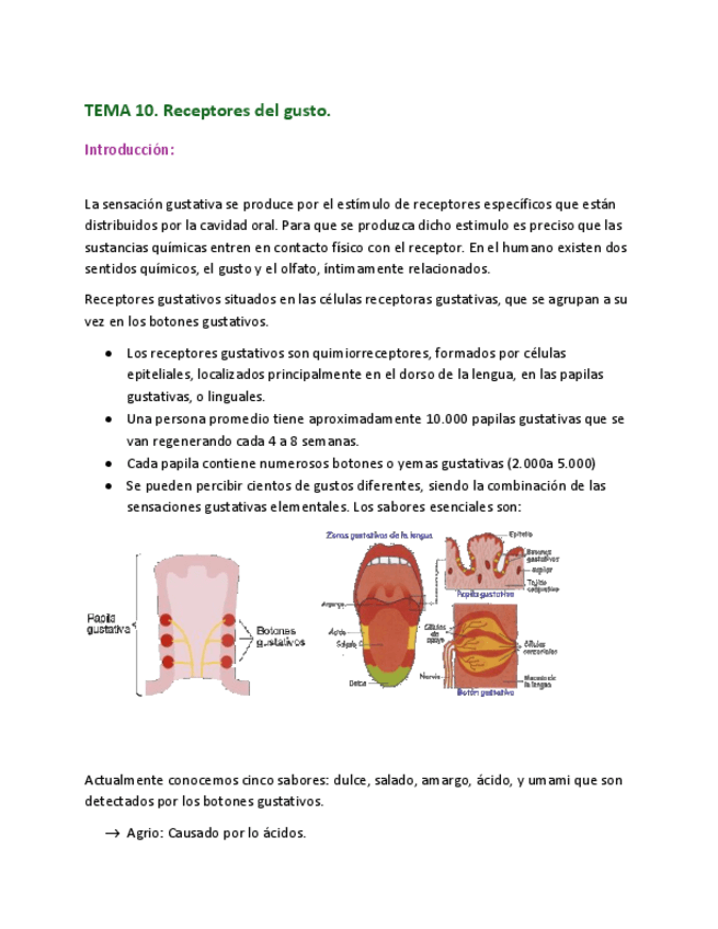 Miniatura del documento TEMA-10.-FSE.pdf