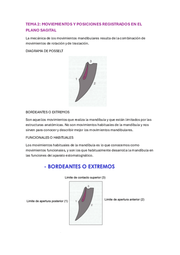 Miniatura del documento TEMA-2-OCLUSION.pdf