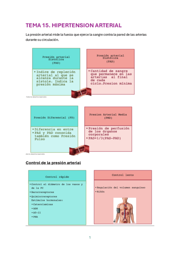 Miniatura del documento TEMA-15.-HIPERTENSION-ARTERIAL.pdf