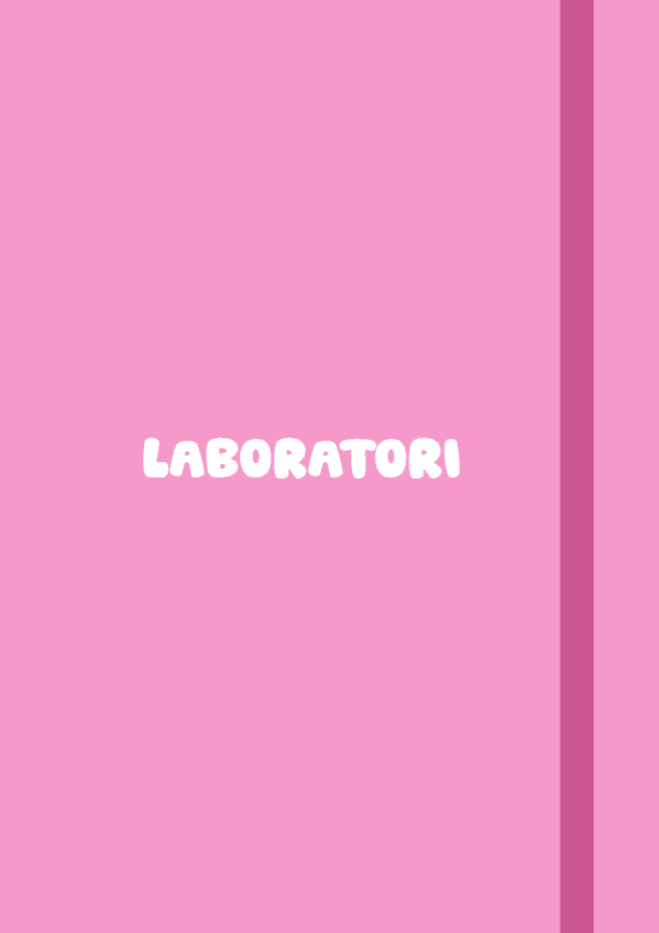 Miniatura del documento Laboratori.pdf