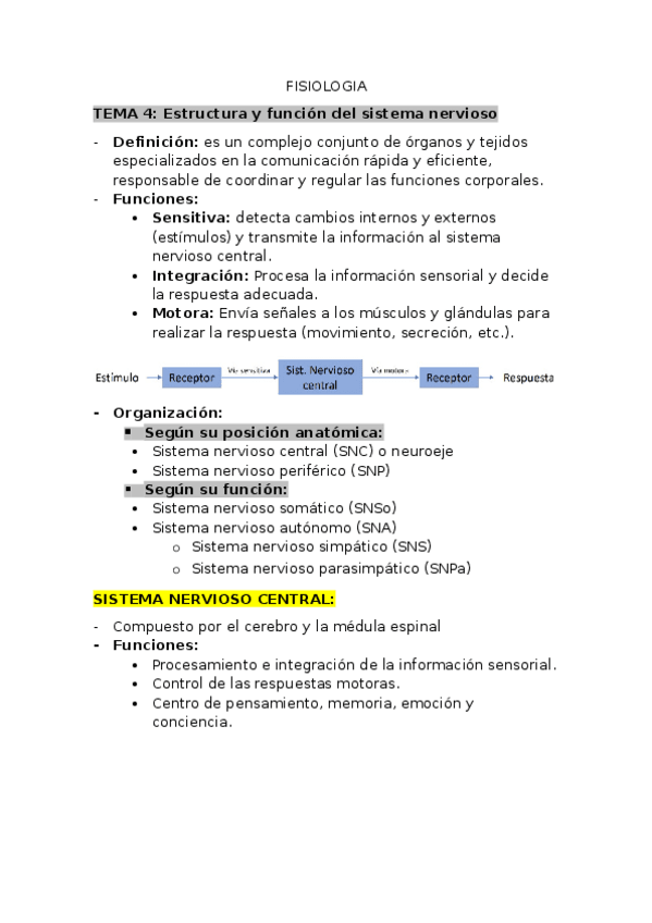 Miniatura del documento Tema-4.-Sistema-nervioso.docx