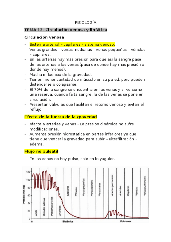 Miniatura del documento Tema-13.-Venas-y-vasos-linfaticos.docx