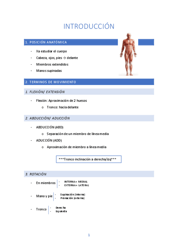 Miniatura del documento Brazo-y-cintura-escapular.pdf
