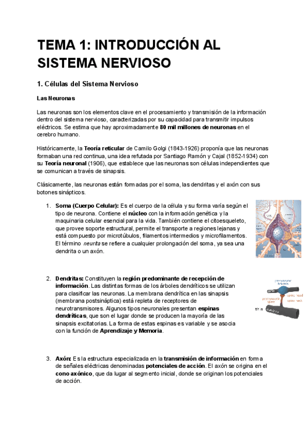 Miniatura del documento nervios-parcial.pdf.pdf