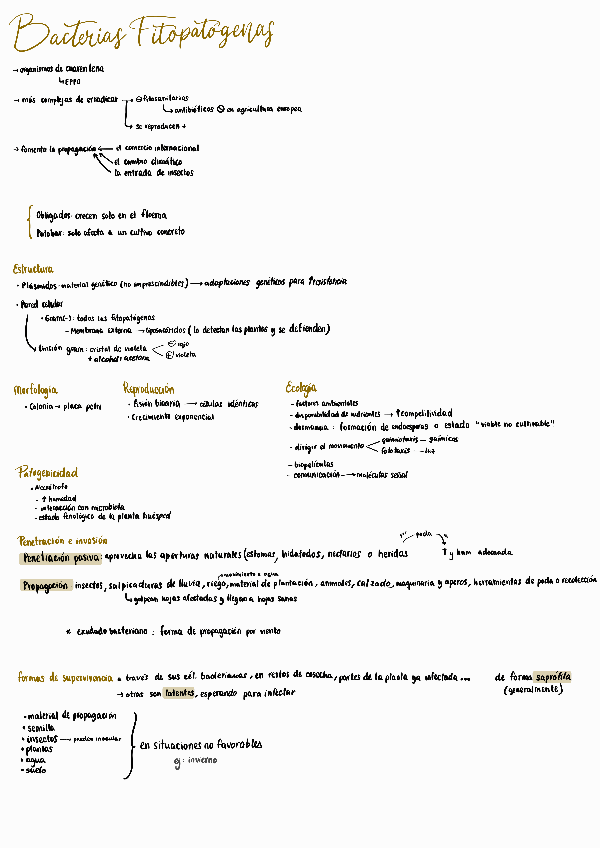 Miniatura del documento Bacterias-Fitopatogenas.pdf