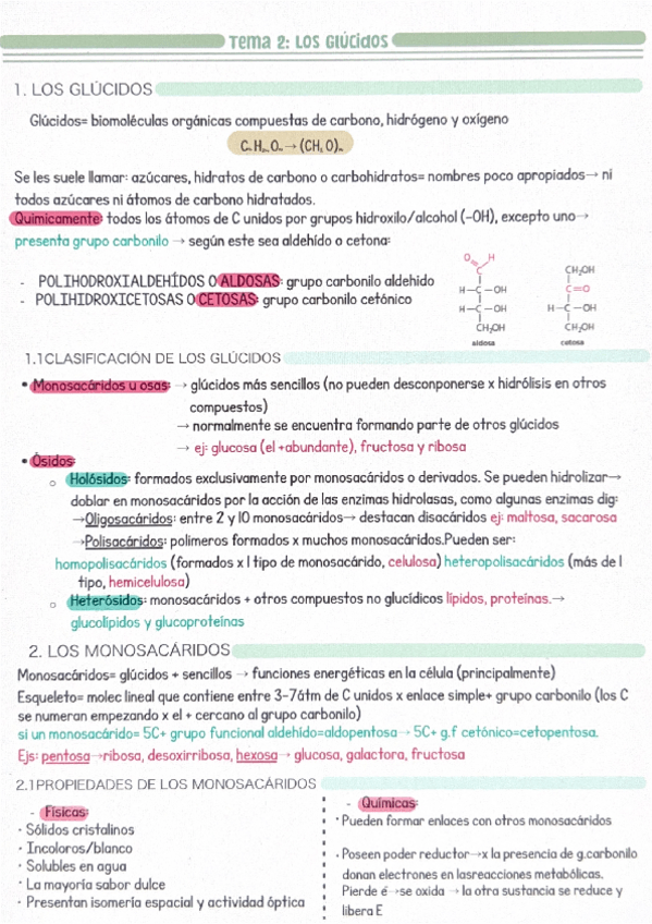 Miniatura del documento Tm2-Glucidos.pdf