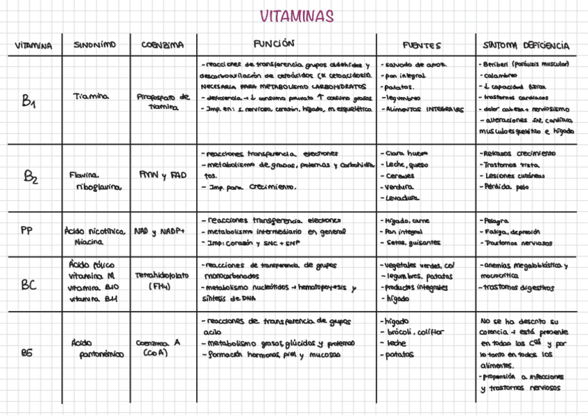 Miniatura del documento Vitaminas.pdf