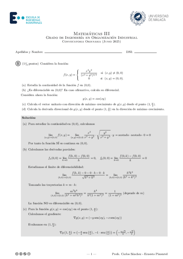 Miniatura del documento Examen-CORREGIDO-JUNIO-2025.pdf
