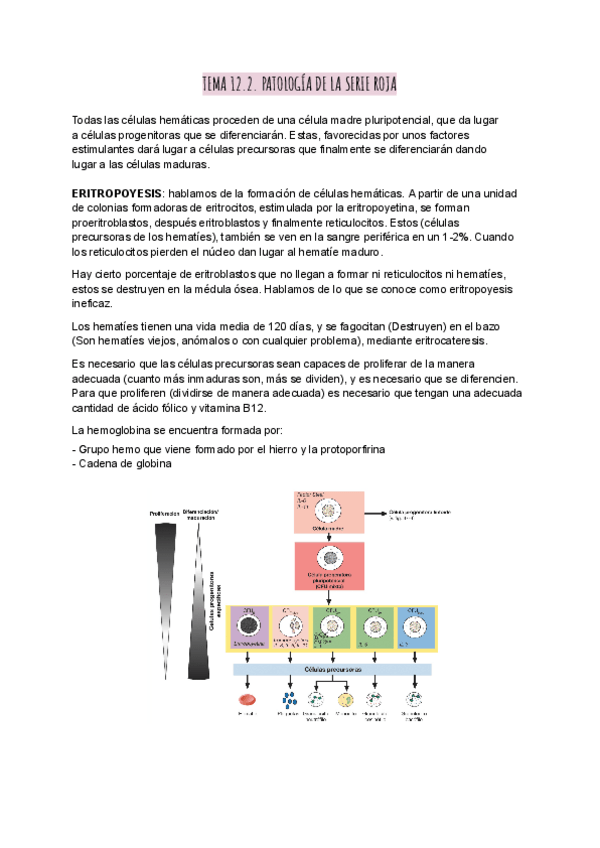 Miniatura del documento Patologia-medica-tema-12.2.pdf