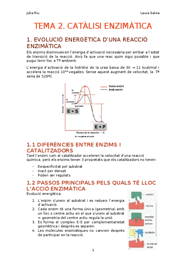 Miniatura del documento tema-2.-catalisi-enzimatica.docx