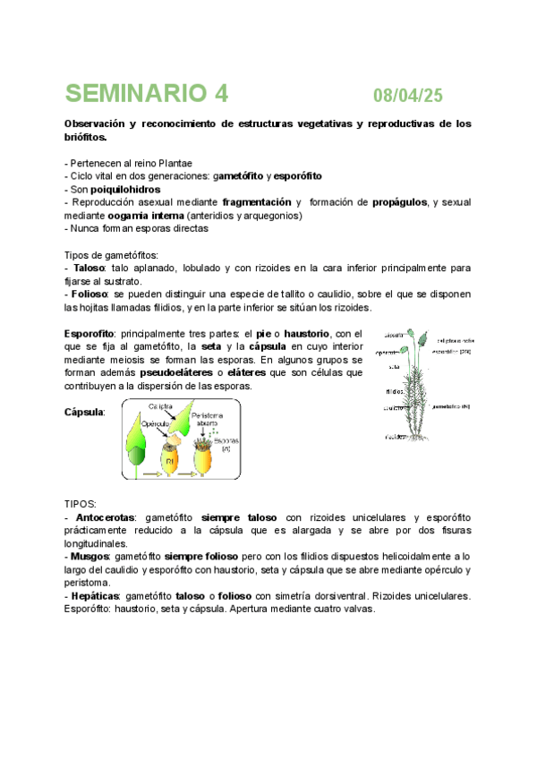 Miniatura del documento Informe-seminario-4-Botanica.pdf