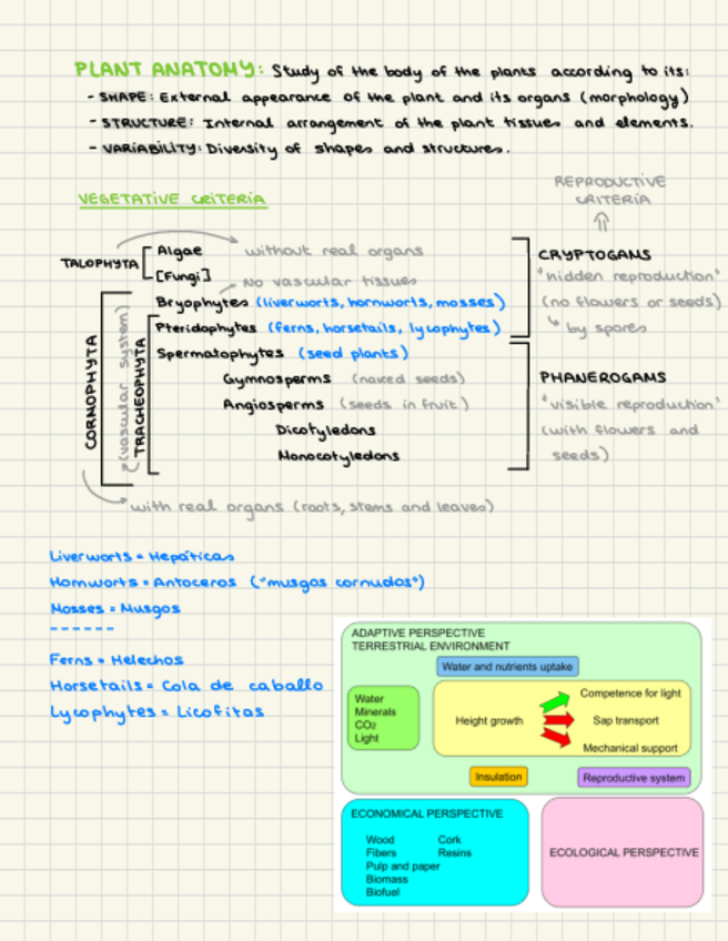 Miniatura del documento Anatomy-Unit-1.pdf
