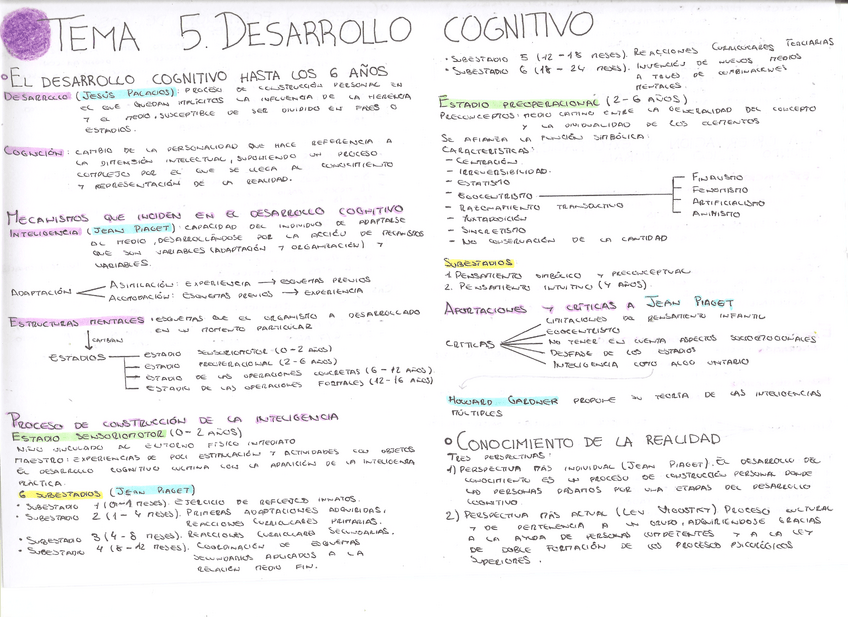 Miniatura del documento Tema-5.-Desarrollo-cognitivo-hasta-los-seis-anos.-El-conocimiento-de-la-realidad.-La-observacion-y-exploracion-del-mundo-fisico-natural-y-social.-Genesis-y-formacion-de-los-principales-conceptos..pdf