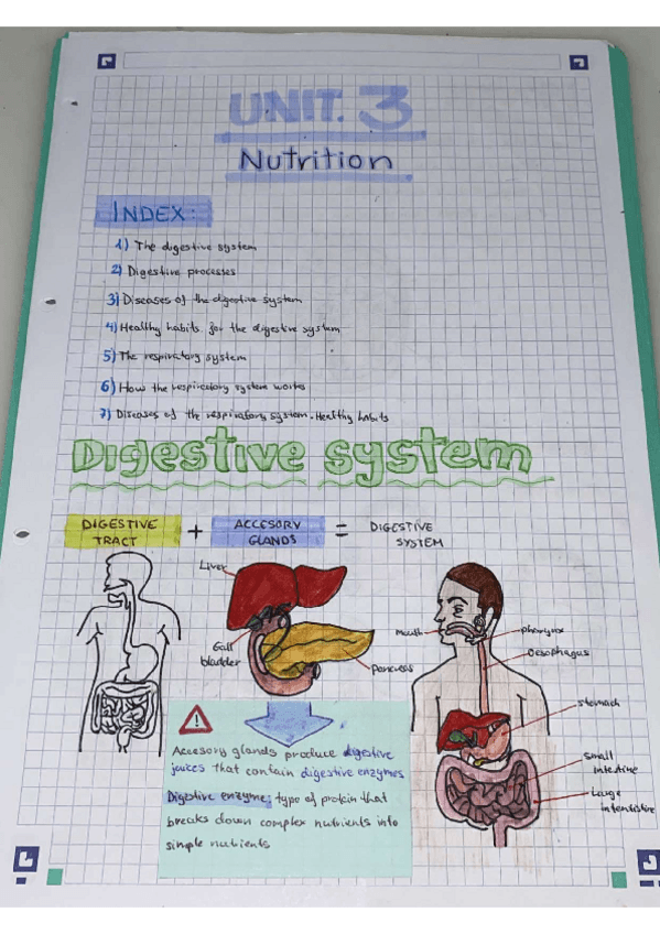 Miniatura del documento nutricion-unidad-3-biologia-en-ingles.pdf