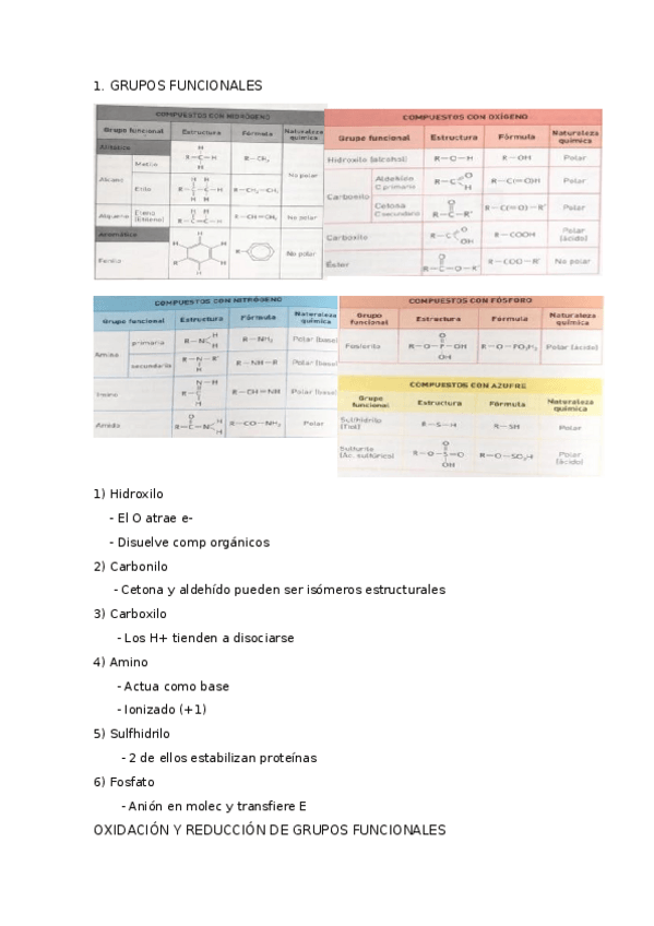 Miniatura del documento 2-GRUPOS-FUNCIONALES-Y-REACCIONES.docx