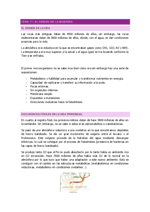 Miniatura del documento TEMA-11-origen-de-la-biosfera.pdf