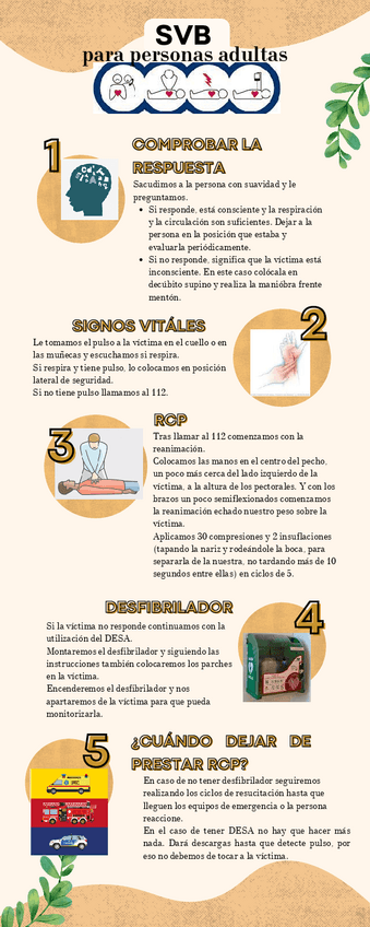 Miniatura del documento Soporte-Vital-Basico.pdf