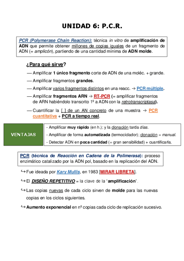 Miniatura del documento UNIDAD-6-PCR-BMC.pdf