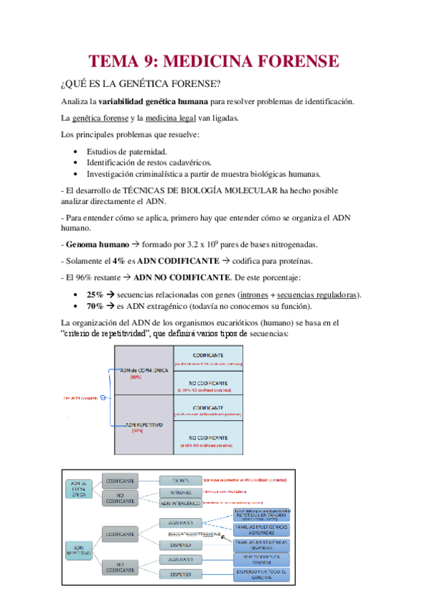 Miniatura del documento T9-apuntes-medicina-forense-BMC.pdf