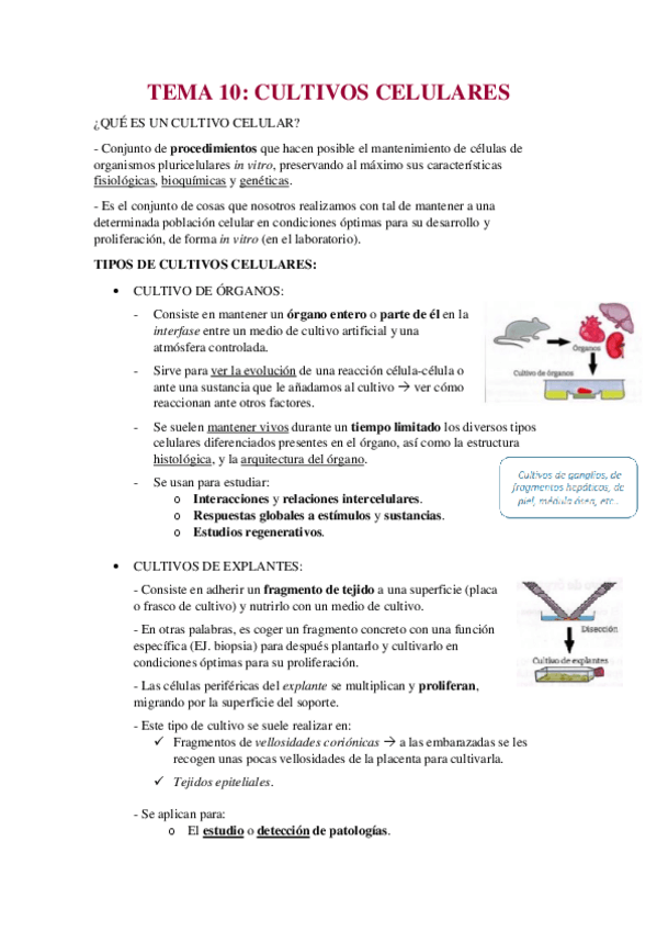 Miniatura del documento T10-apuntes-cultivos-celulares-BMC.pdf