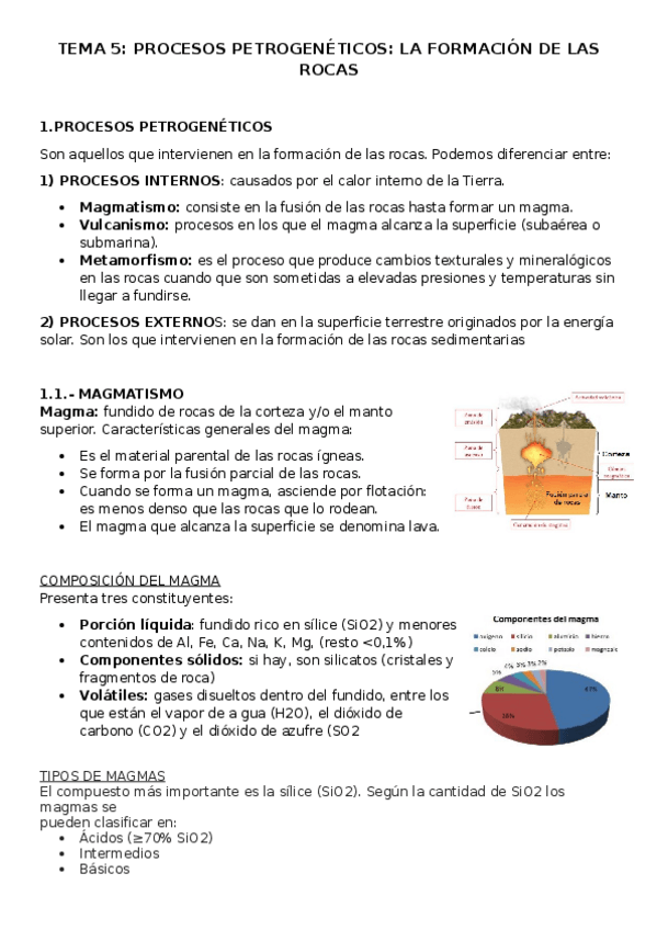 Miniatura del documento TEMA-5-GEOLOGIA.docx