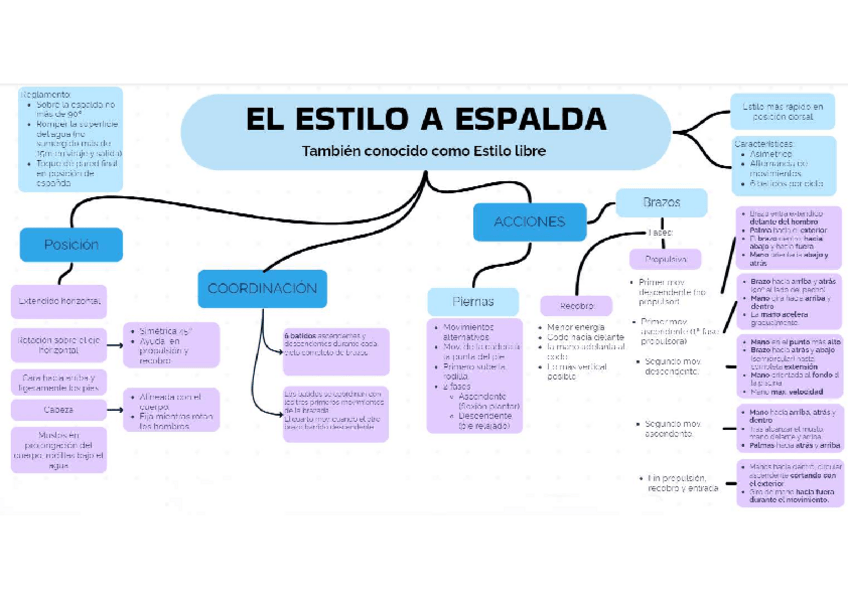 Miniatura del documento Mapa-conceptual-Estilo-espalda.pdf