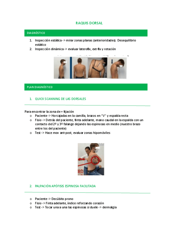 Miniatura del documento RAQUIS-DORSAL.pdf