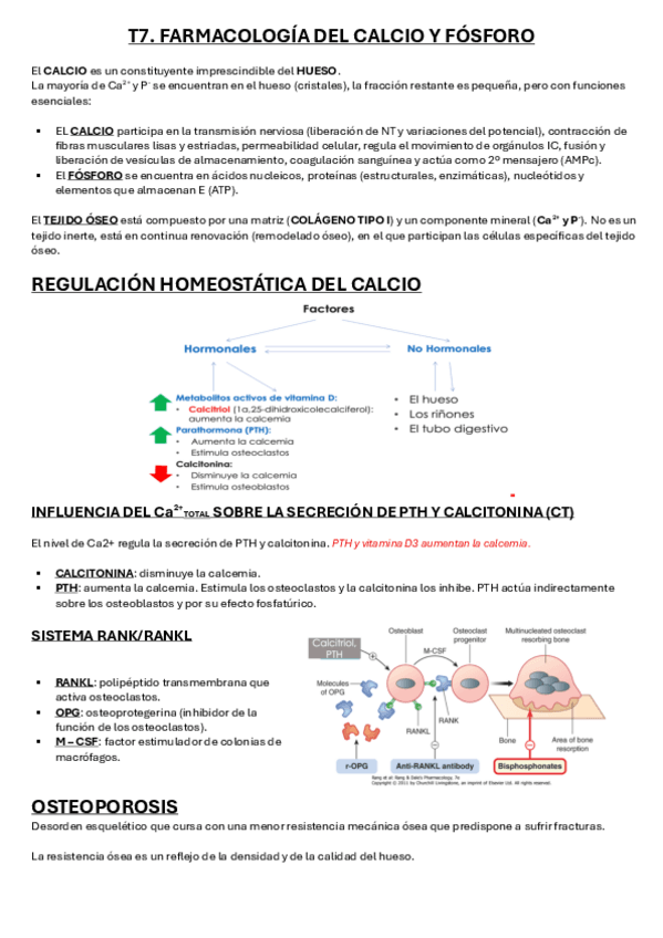 Miniatura del documento Tema-7-Farmacologia-III.pdf