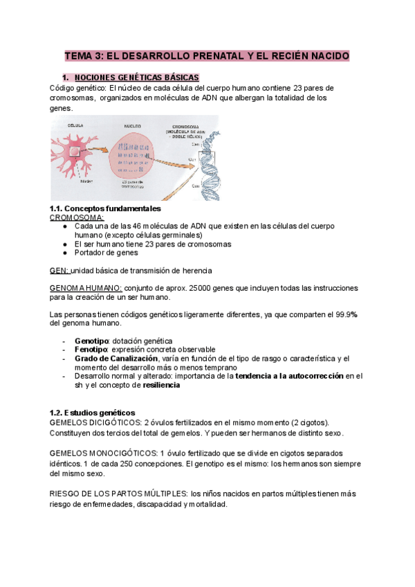 Miniatura del documento APUNTES-TEMA-3.pdf