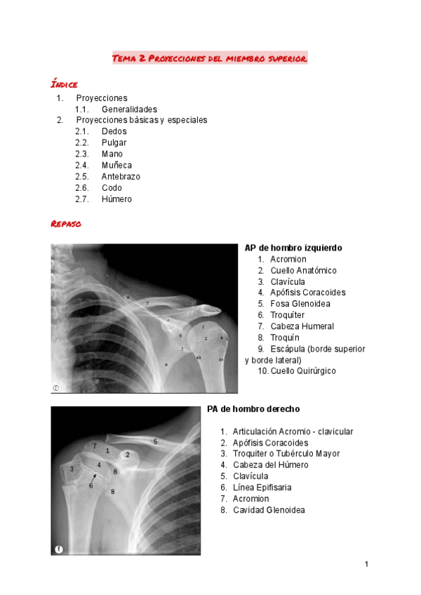 Miniatura del documento Tema-2-Radiologia-Simple.pdf
