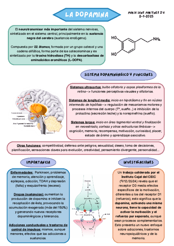 Miniatura del documento TRABAJO-DOPAMINA-MARIA-SANZ-MARTINEZ-8.1.2025.pdf