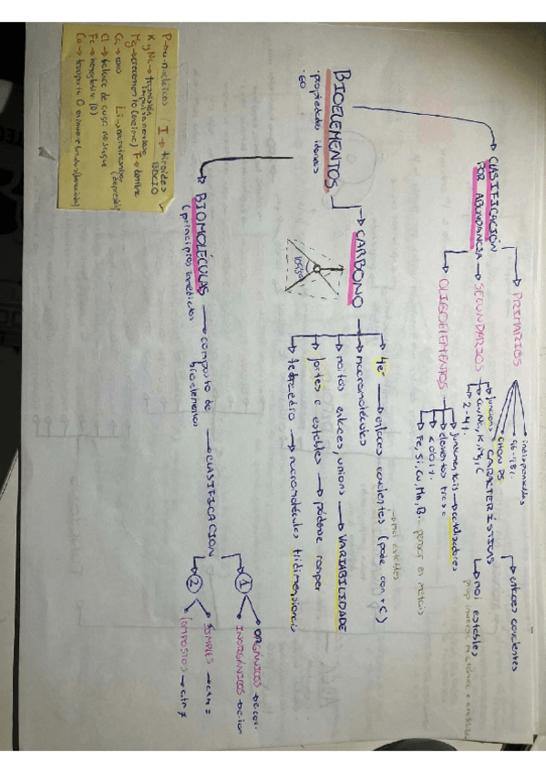 Miniatura del documento BIOLEMENTOS-E-BIOMOLECULAS.pdf