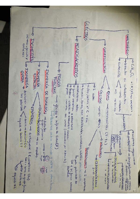 Miniatura del documento GLICIDOS.pdf