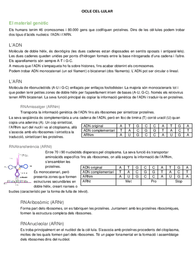 Miniatura del documento cicle-cellular.docx