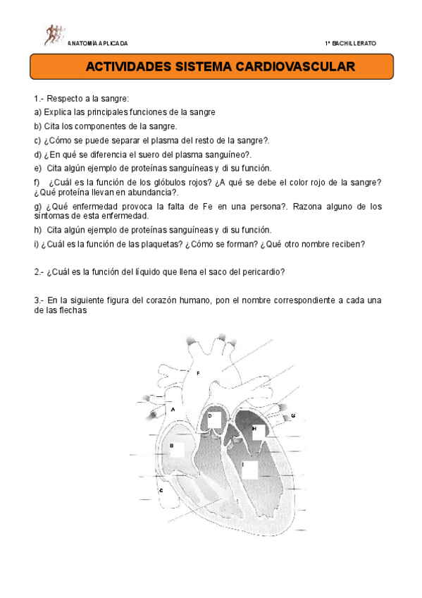 Miniatura del documento actividades-circulatorio.pdf