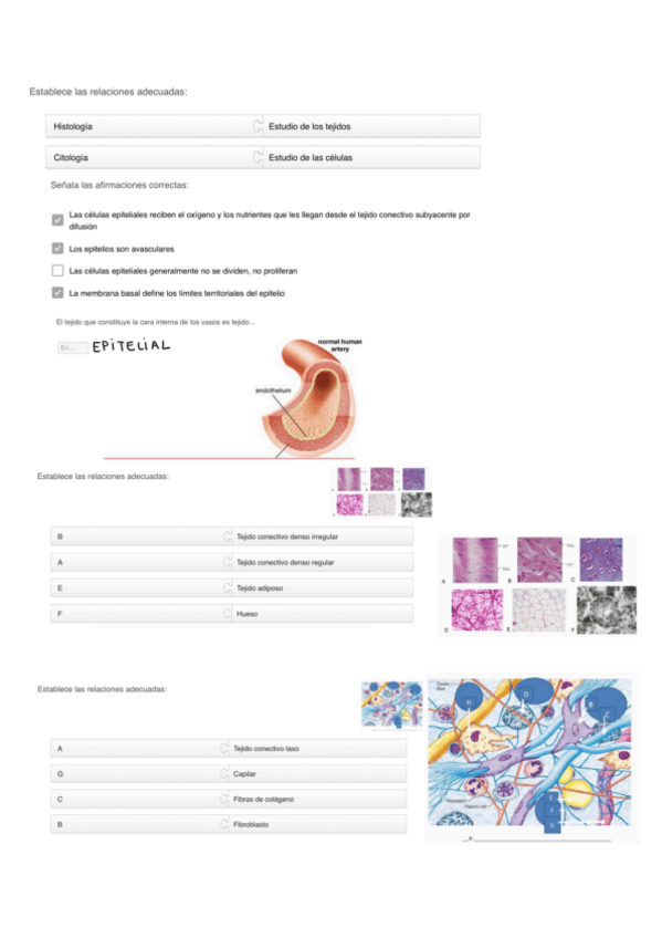 Miniatura del documento ESTRUCTURA-Y-FUNCION-DE-LOS-TEJIDOS-AUTOAVALUACION.pdf